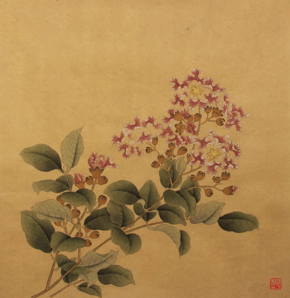 临紫薇图 2014 26X26cm