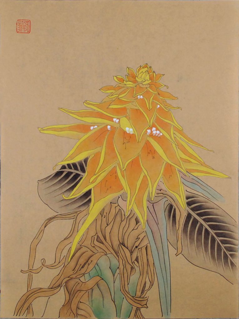 南国花卉五 2016 33X26cm