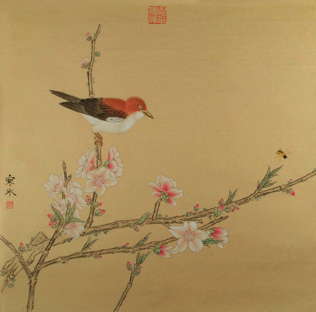 桃花山鸟 2016 45X45cm